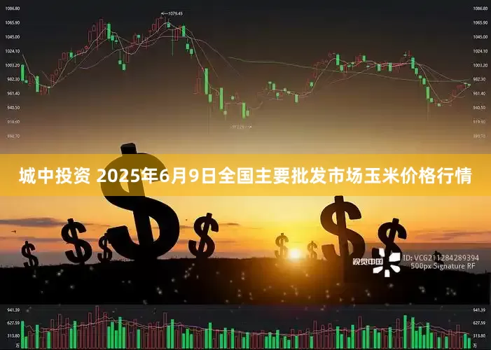 城中投资 2025年6月9日全国主要批发市场玉米价格行情