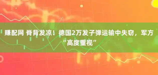 赚配网 脊背发凉！德国2万发子弹运输中失窃，军方“高度重视”