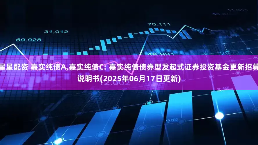 星星配资 嘉实纯债A,嘉实纯债C: 嘉实纯债债券型发起式证券投资基金更新招募说明书(2025年06月17日更新)