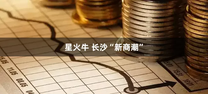 星火牛 长沙“新商潮”